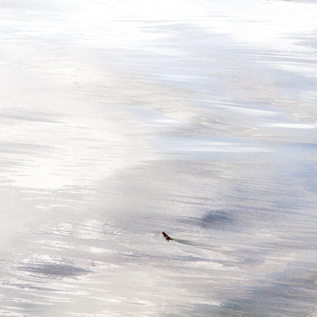 _MG_2734-Edit