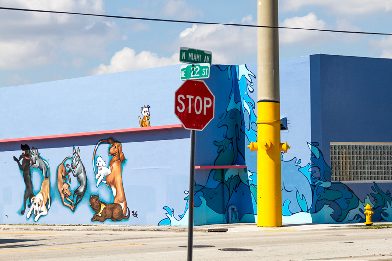 _MG_7778-Edit